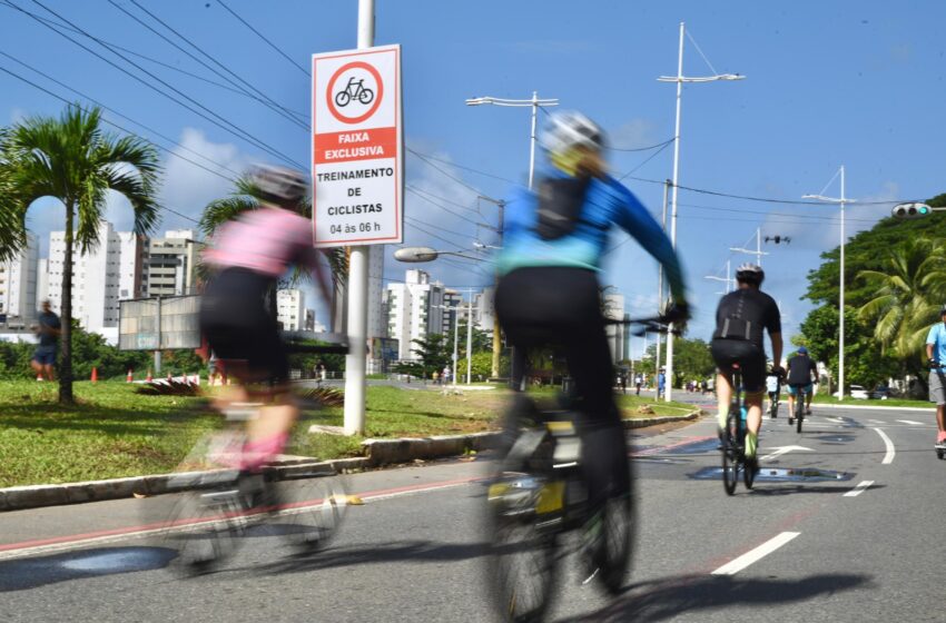  Prefeitura lança Plano Cicloviário com meta de chegar a 700 km de vias para ciclistas em Salvador